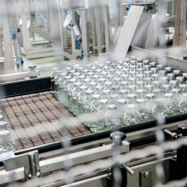 Glass bottles on an industrial conveyor belt in a manufacturing facility, showcasing modern production and automation in a factory setting.